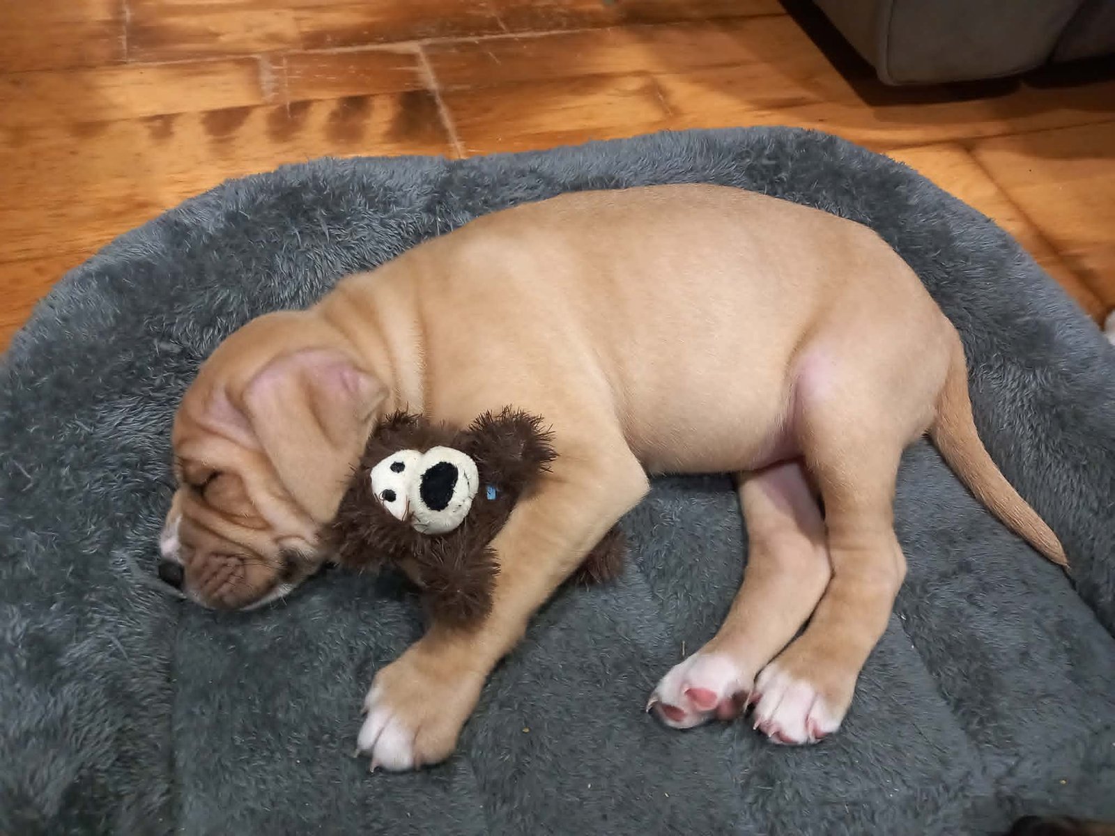 Diego