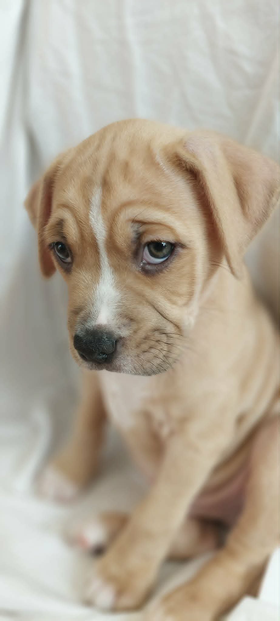 Diego4