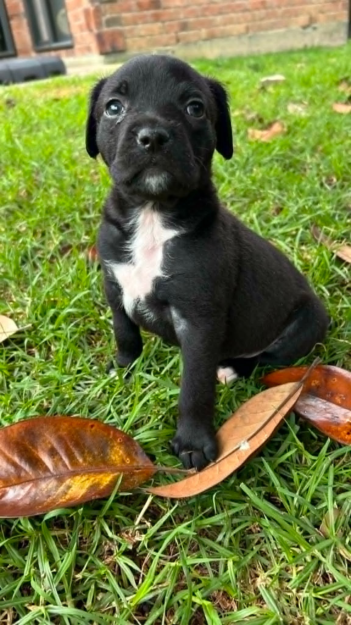 Flossie2