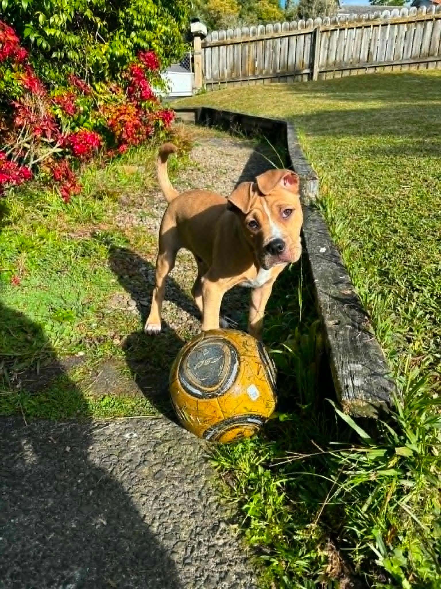 Diego6