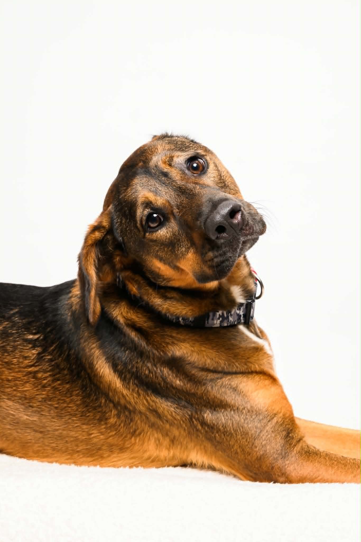 Finn1