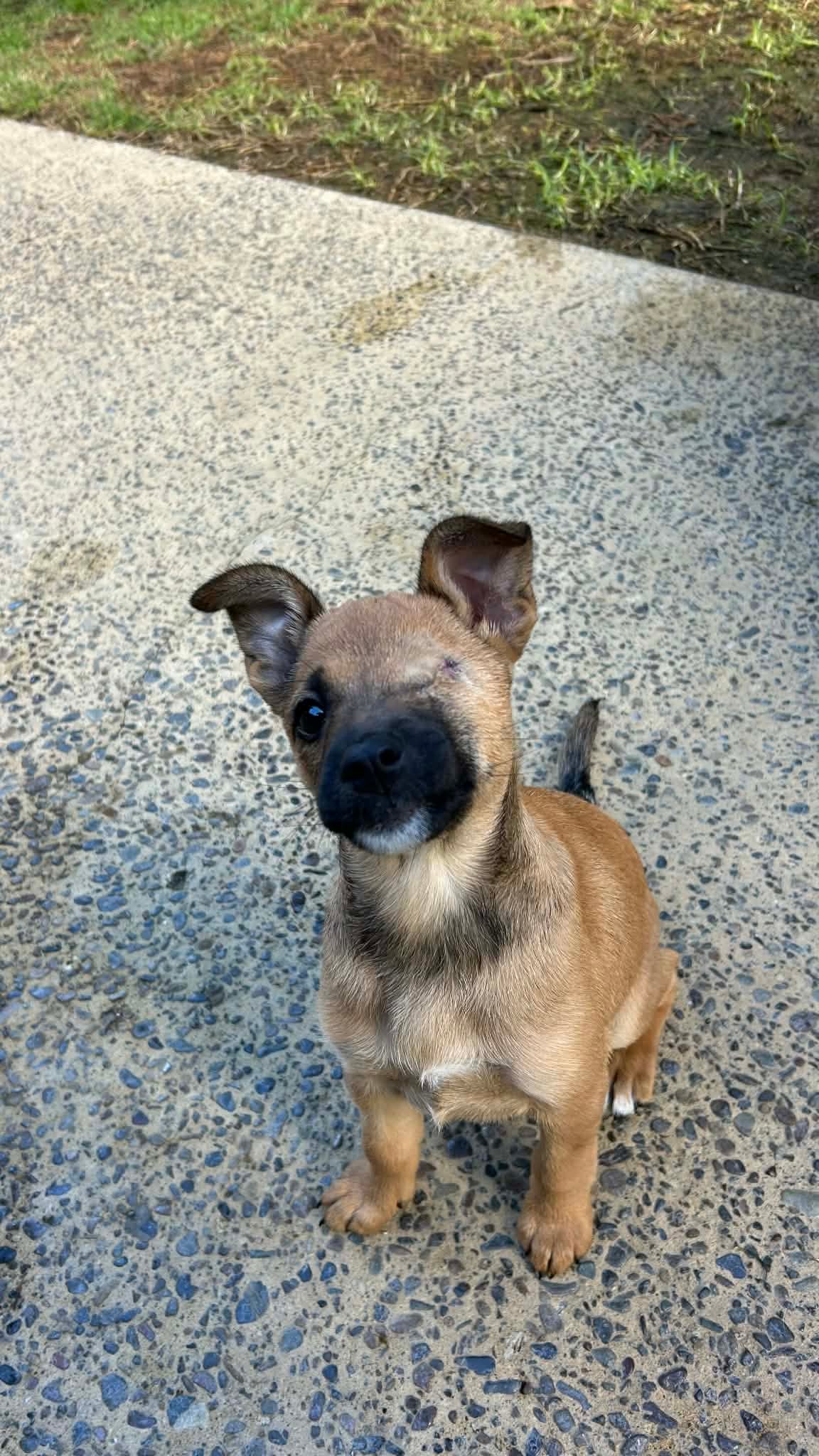 Kanga3