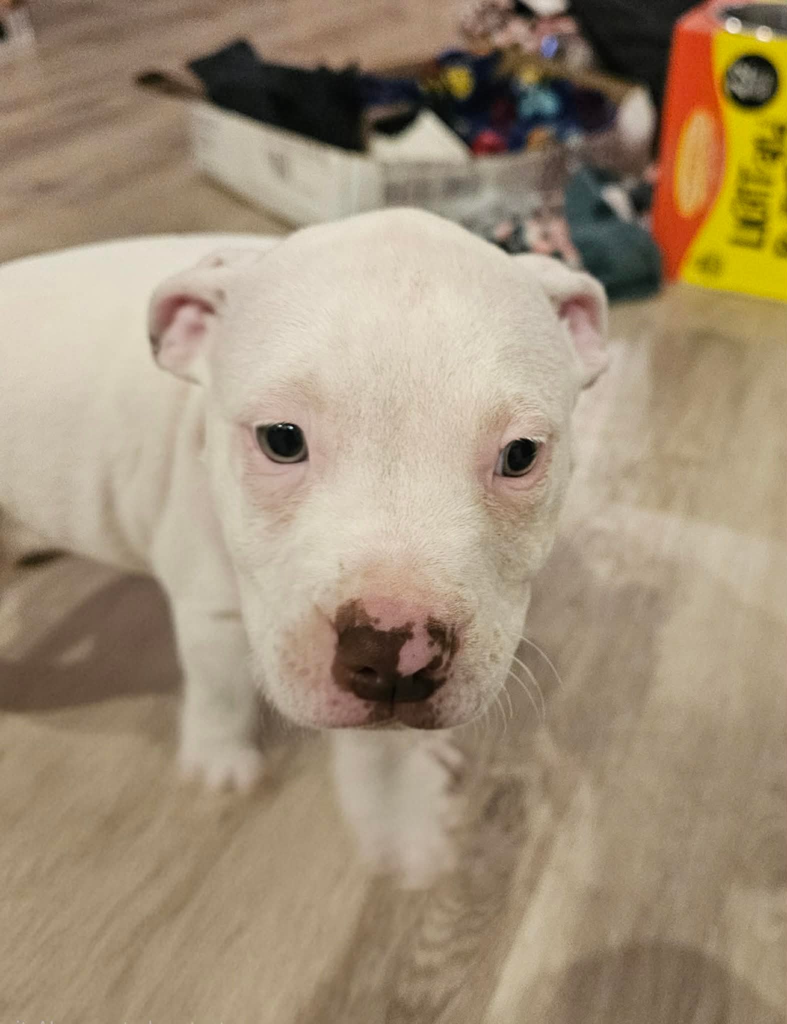 Stormi3
