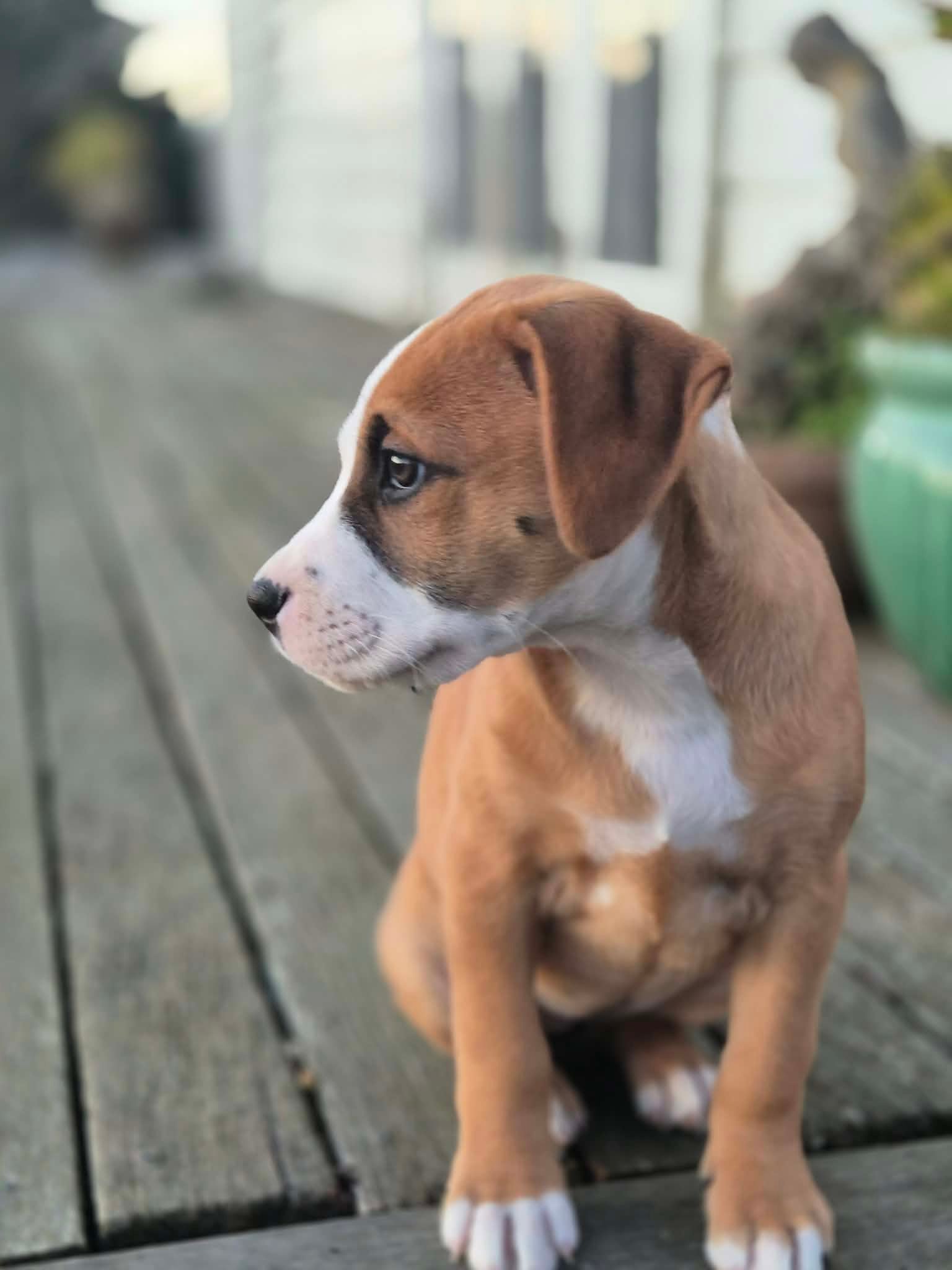 att.0nD1ZB0610HoJtKgwfgrgrgEzgc3TE-wauG57j8w4rM